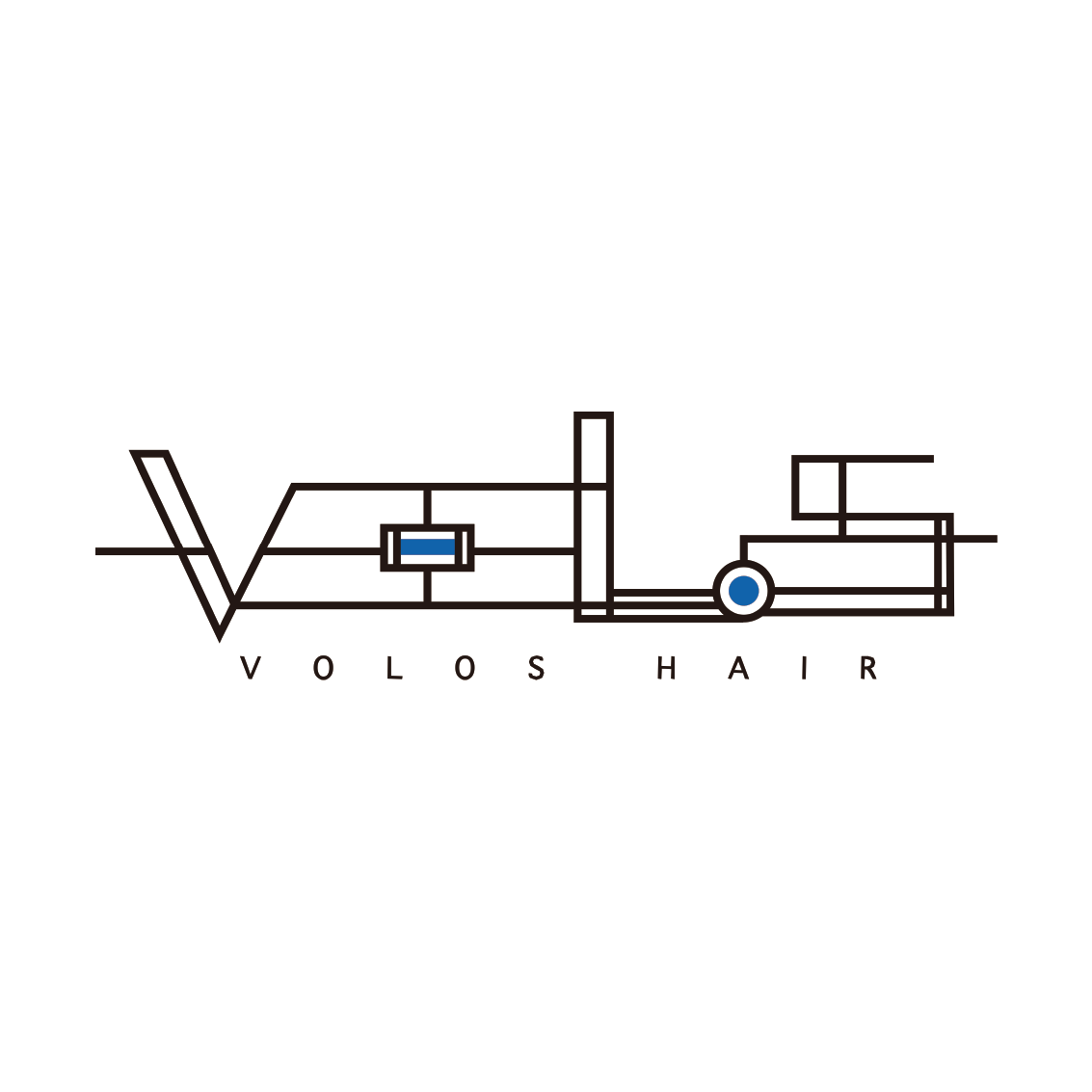 volos__hair